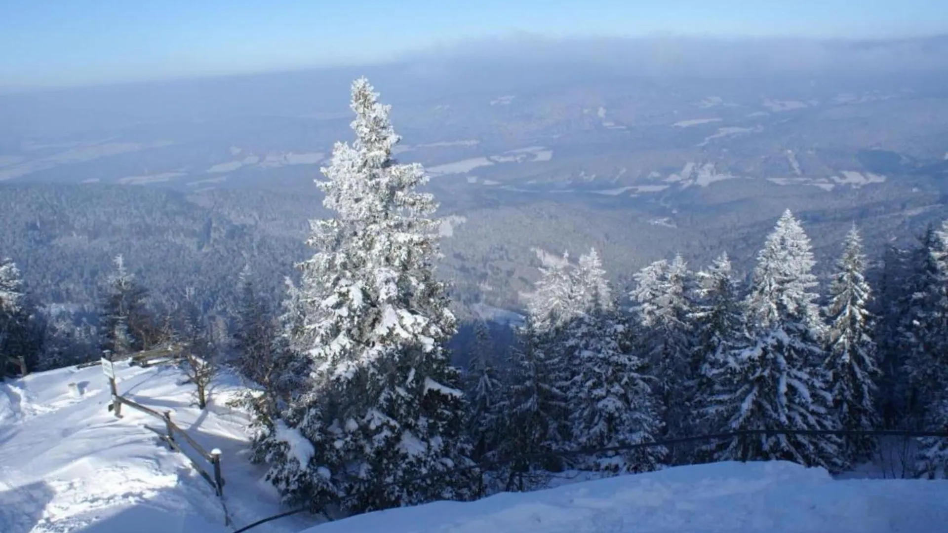 Holiday Home With Sauna In The Bavarian Forest 0*, 비에탁 독일